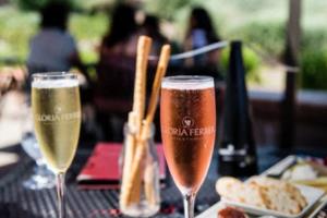 梅西世界杯夺冠那晚，一段永恒的传奇时刻梅西世界杯夺冠那晚